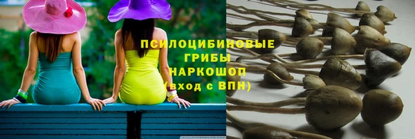 гашик Алексеевка