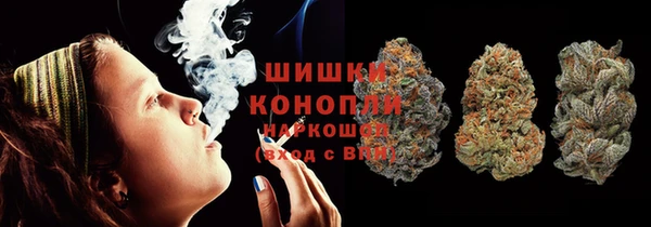гашик Алексеевка