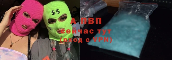 гашик Алексеевка
