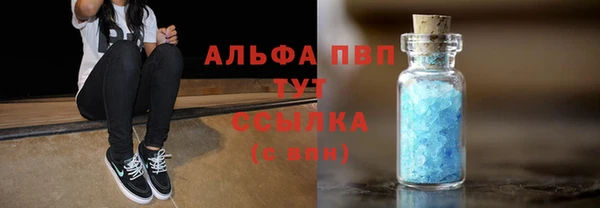 apvp Алзамай