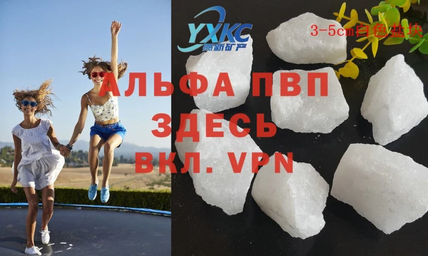 гашик Алексеевка