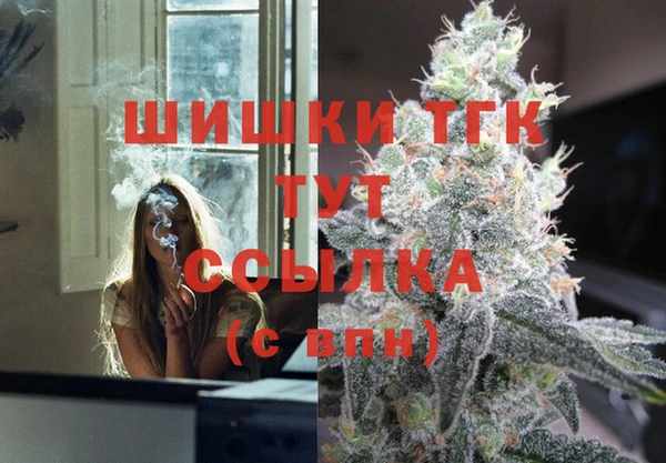 гашик Алексеевка